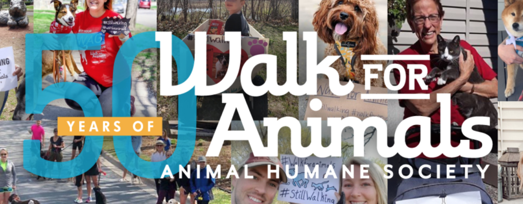 Giving Back - Animal Humane Society Walk For Animal